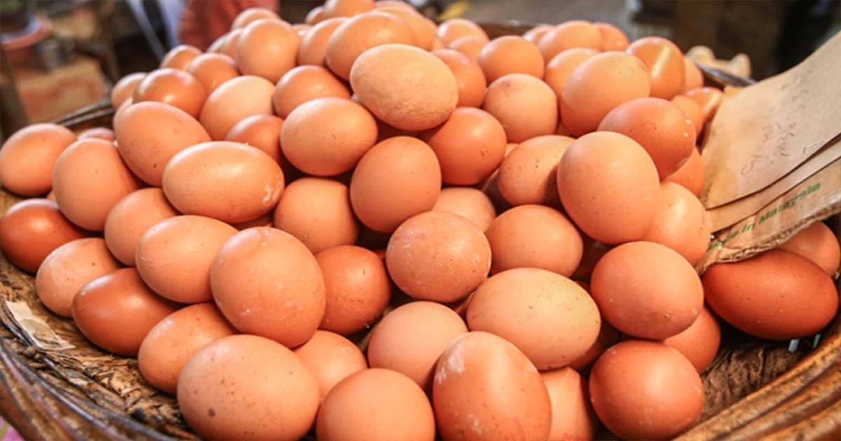 দাম কমে ৪০ টাকায় ডিমের হালি