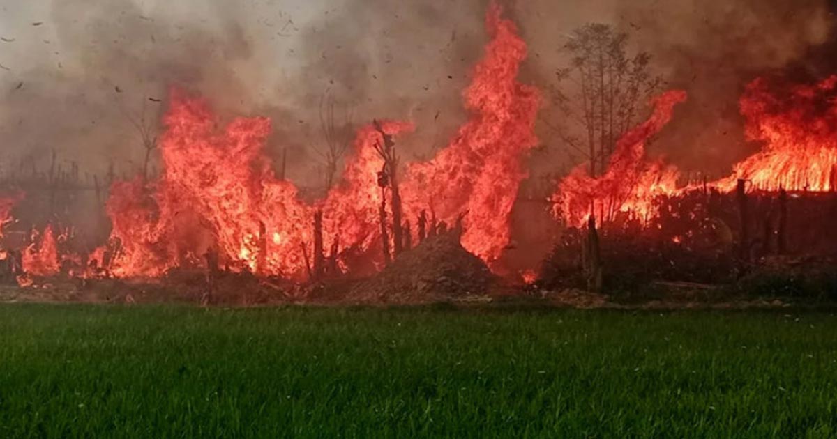 ভেড়ামারায় আগুনে পুড়ে কোটি টাকার পান বরজ ছাই