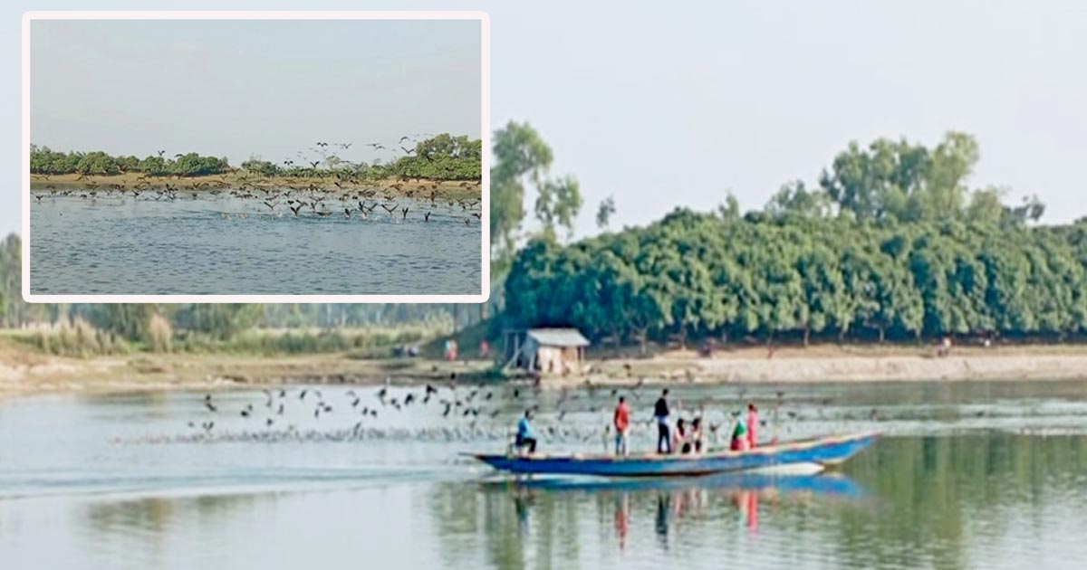 অতিথি পাখির স্বর্গরাজ্যে রাণীশংকৈলের রামরায় দীঘি