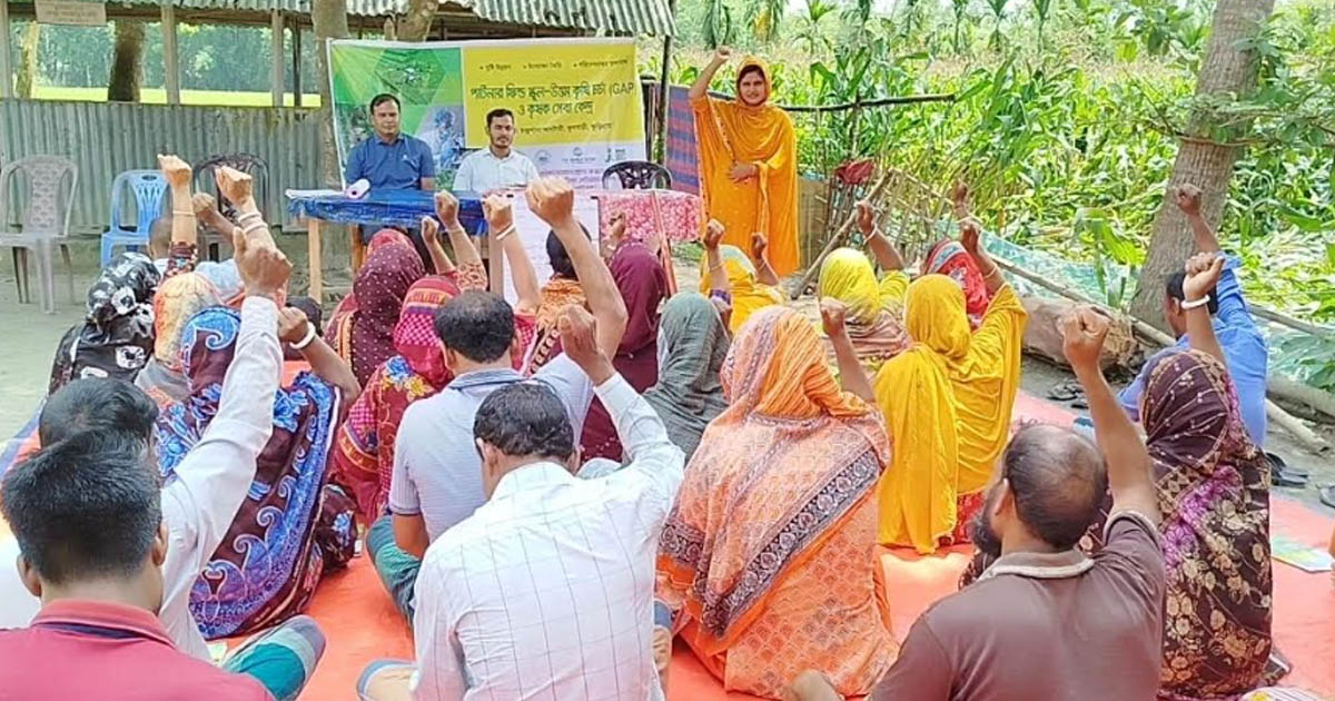 নিরাপদ ফসল উৎপাদনে কৃষকের মাঝে আলো ছড়াচ্ছে পার্টনার ফিল্ড স্কুল