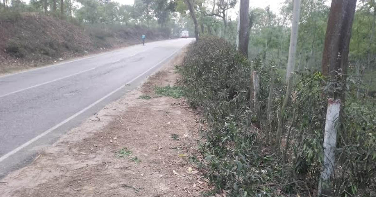 ঢাকা-সিলেট পুরাতন মহাসড়কে গাছ ফেলে দুই মাসে ৬টি ডাকাতি