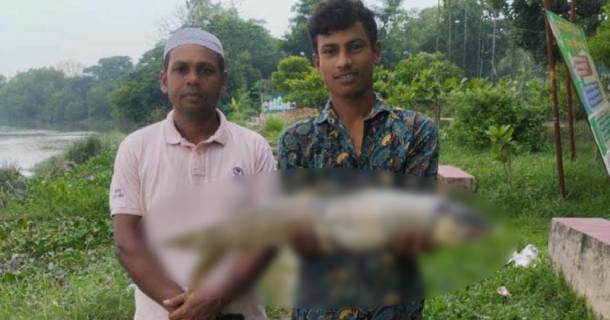 হালদা নদীতে ১২ দিনের ব্যবধানে দুটি মৃত মা মাছ উদ্ধার
