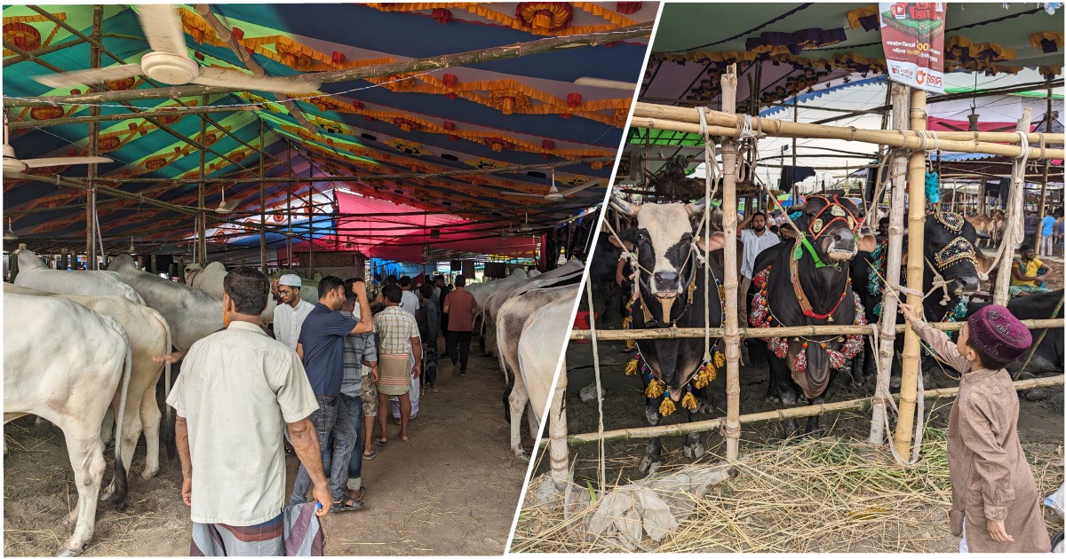 ক্রেতার অপেক্ষায় গাবতলী পশুর হাটের ব্যবসায়ীরা