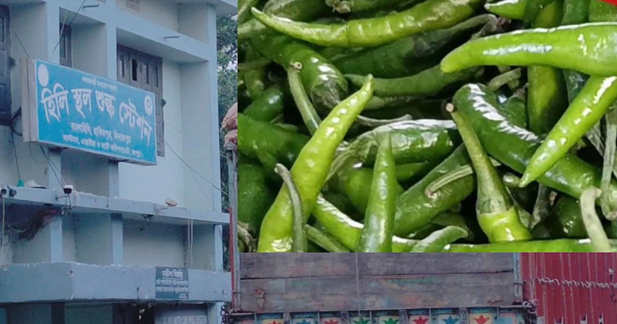 একদিনে কাঁচামরিচের দাম কমেছে কেজিতে ১৬০ টাকা