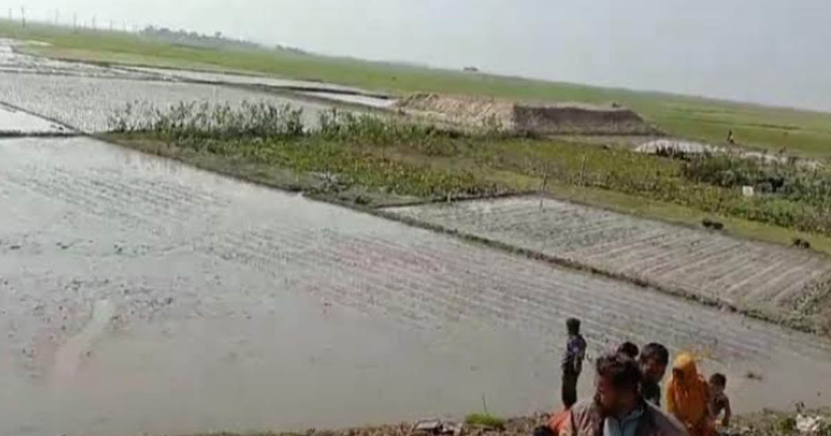 ইটনায় ২৭ হাজার চারশত হেক্টর জমিতে বোর আবাদের লক্ষ্যমাত্রা