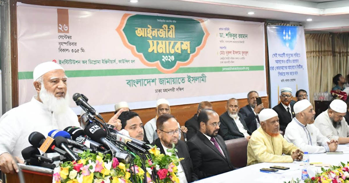 অন্তর্বর্তীকালীন সরকার সফল হলে বিপ্লব সফল হবে