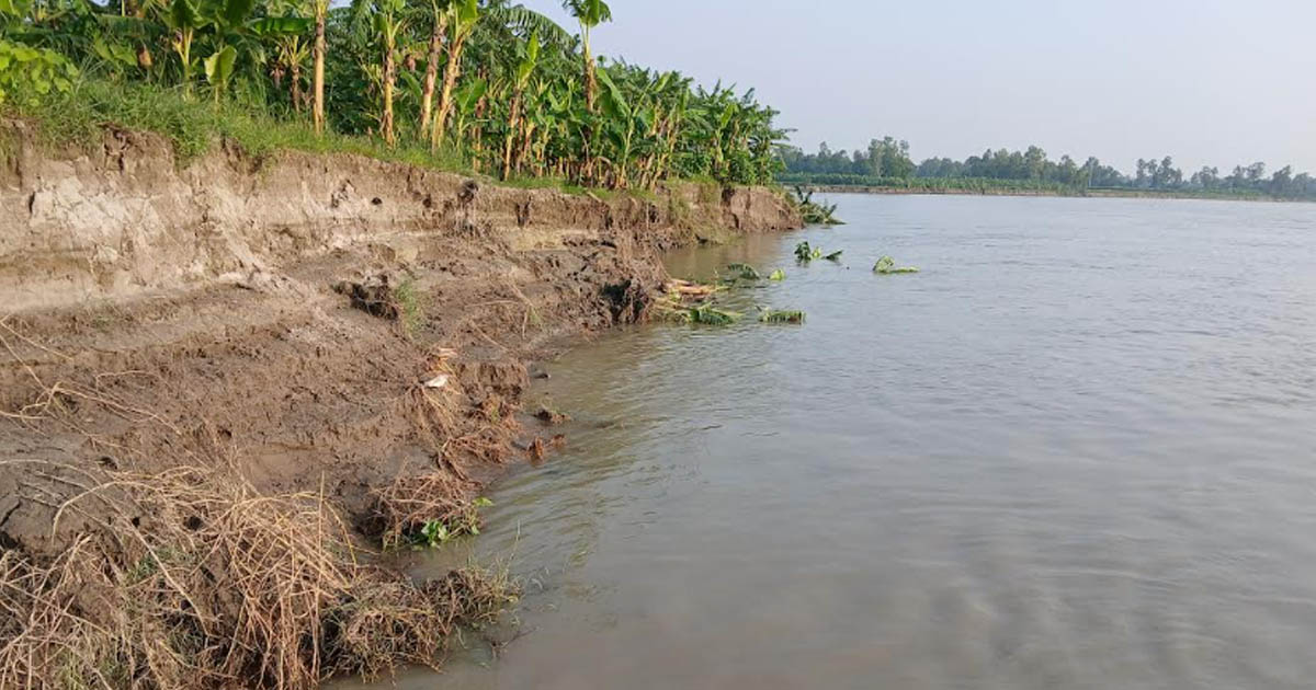 যমুনার ভাঙনে টাঙ্গাইলে পাঁচ শতাধিক পরিবার ও একাধিক শিক্ষা প্রতিষ্ঠান ঝুঁকিতে