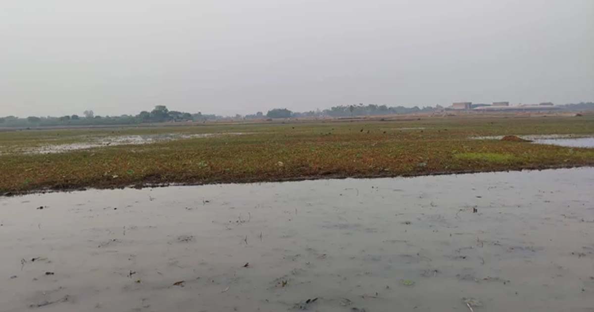প্রথমবারের মতো ‘জলাভূমি নির্ভর প্রাণী অভয়ারণ্য’ ঘোষণা করলো সরকার
