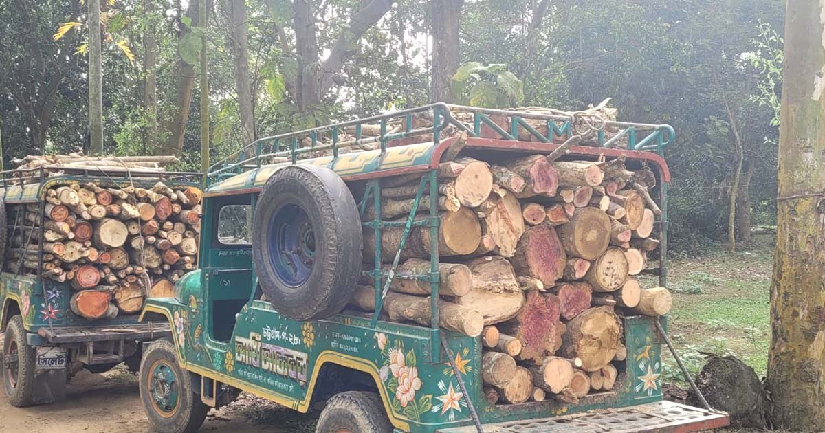 খাগড়াছড়িতে বন বিভাগের অভিযানে জ্বালানি কাঠ জব্দ