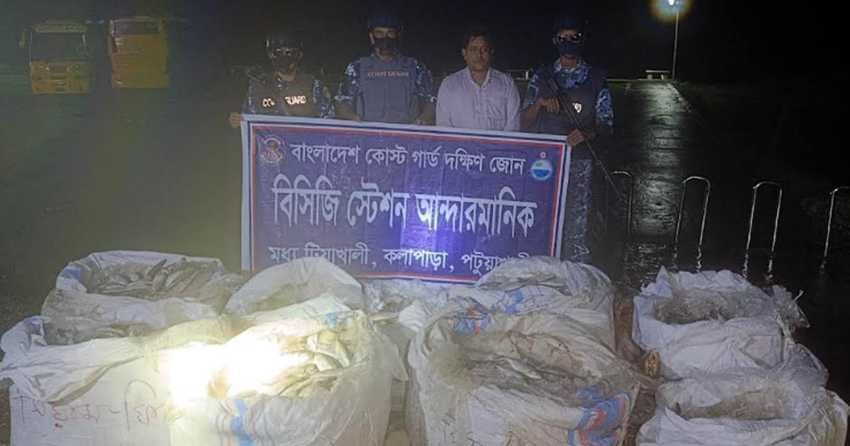 কলাপাড়ায় কোস্টগার্ডের অভিযানে ২০ মন জাটকা জব্দ