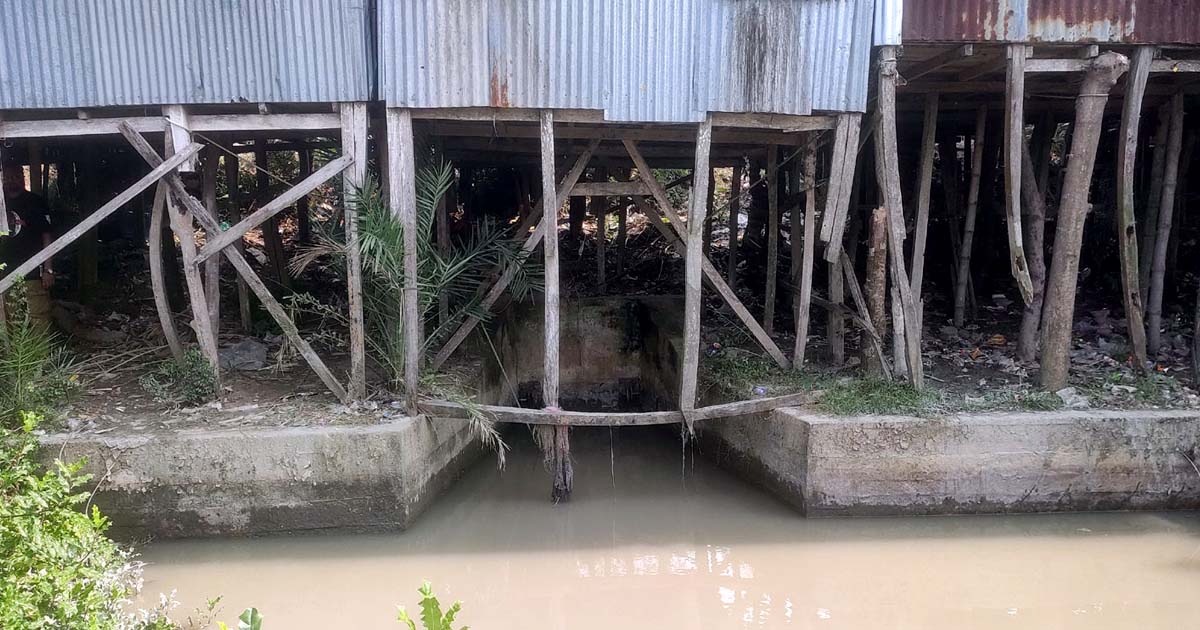 কলাপাড়ায় পানি বন্দির শঙ্কায় ২০০ পরিবার
