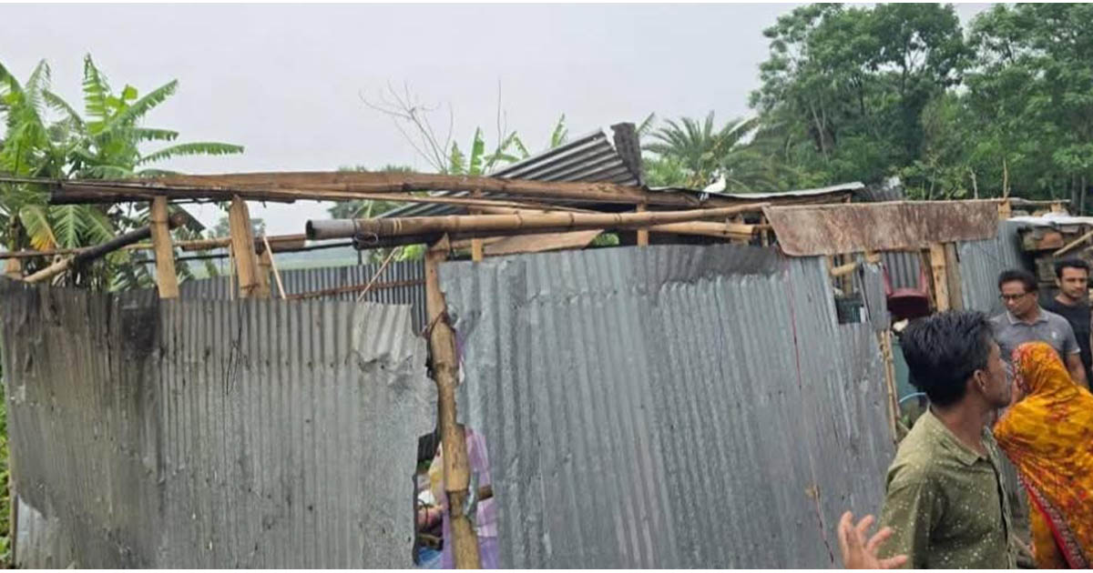 ফরিদপুরে কালবৈশাখী ঝড়ে ব্যাপক ক্ষয়ক্ষতি, বিদ্যুৎ সংযোগ বিচ্ছিন্ন