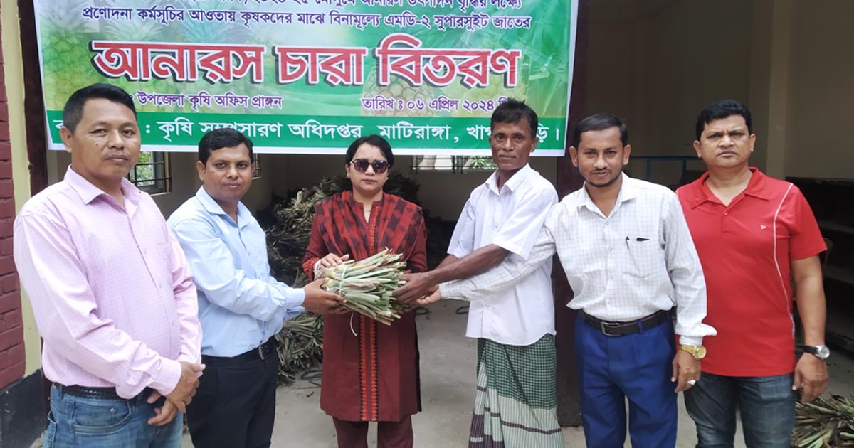 মাটিরাঙ্গায় কৃষকের মাঝে আনারসের চারা বিতরণ