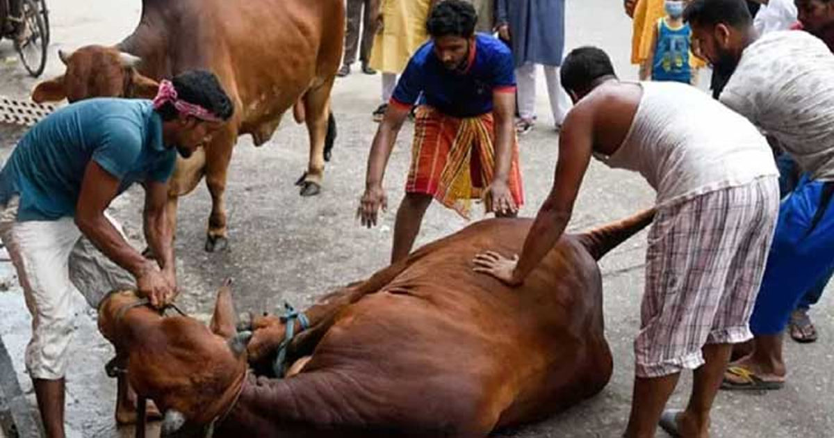 ঈদুল আজহার সম্ভাব্য তারিখ প্রকাশ