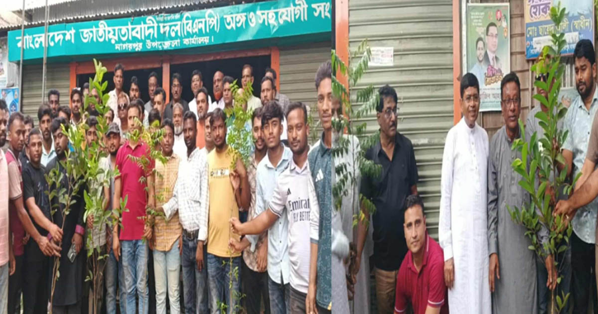 নাগরপুরে ছাত্রদলের উদ্যোগে বৃক্ষরোপণ কর্মসূচি উদ্বোধন