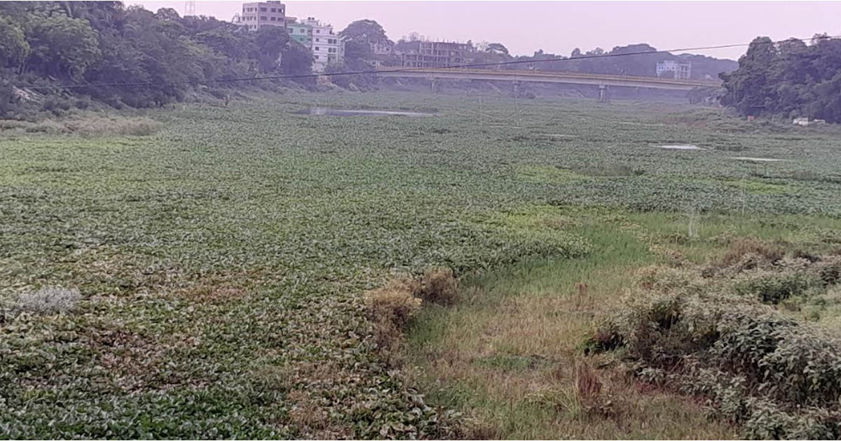 নবগঙ্গা নদীর হাহাকার: অস্তিত্ব সংকটে মাগুরার প্রাণপ্রবাহ