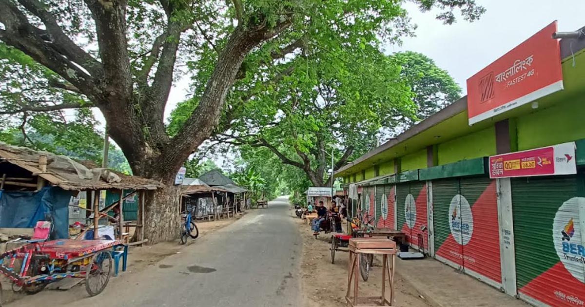 মহম্মদপুরে এক মালদ্বীপ বাজার