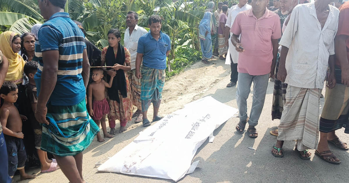 মিরপুরে অ্যাম্বুলেন্স-ট্রলি সংঘর্ষে প্রাণ গেল হেলপারের