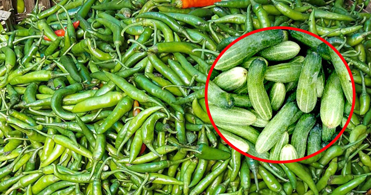 ৩০০ ছাড়ালো কাঁচা মরিচ, শসা সেঞ্চুরি