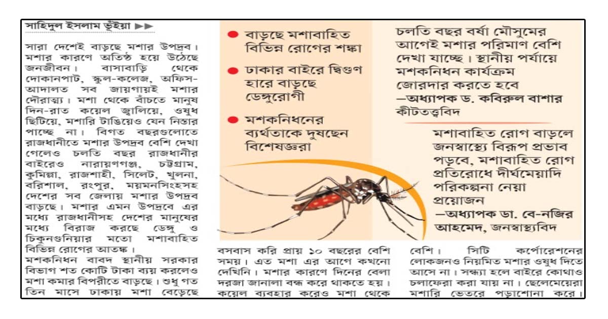 মশার উপদ্রবে অতিষ্ঠ জনজীবন
