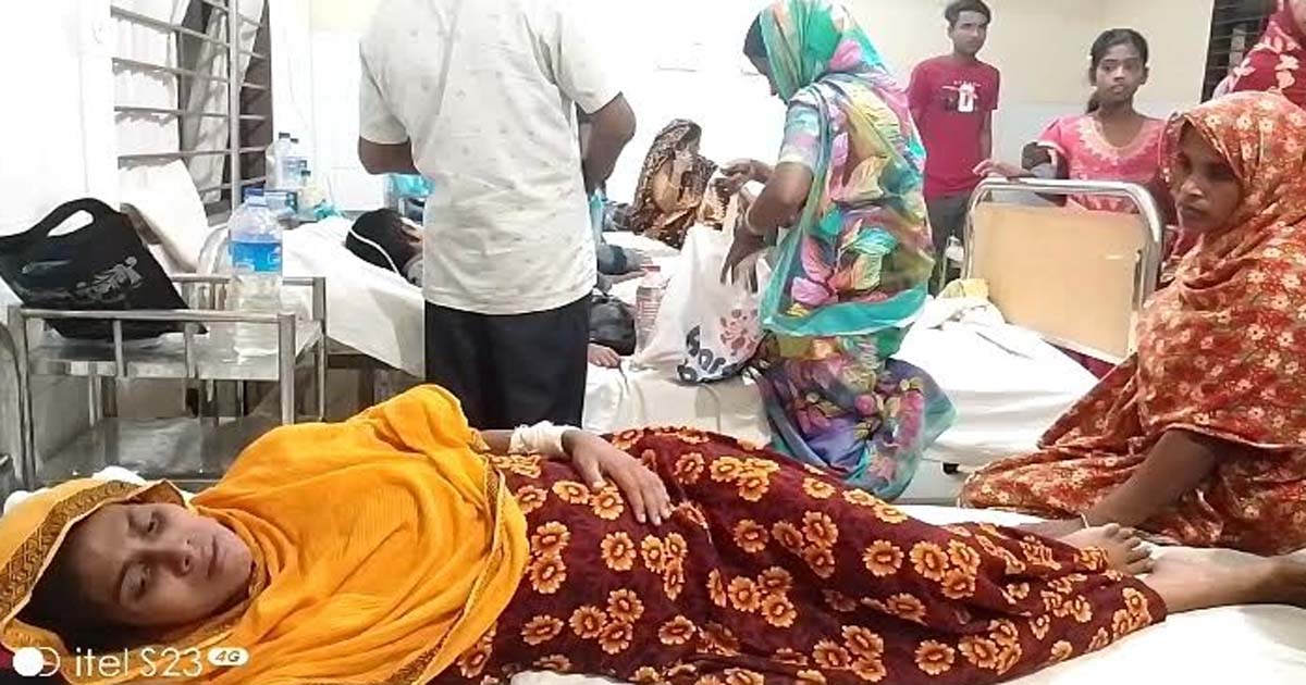 বড়লেখায় মুক্তিযোদ্ধা পরিবারের উপর হামলা, নারীসহ আহত ৪
