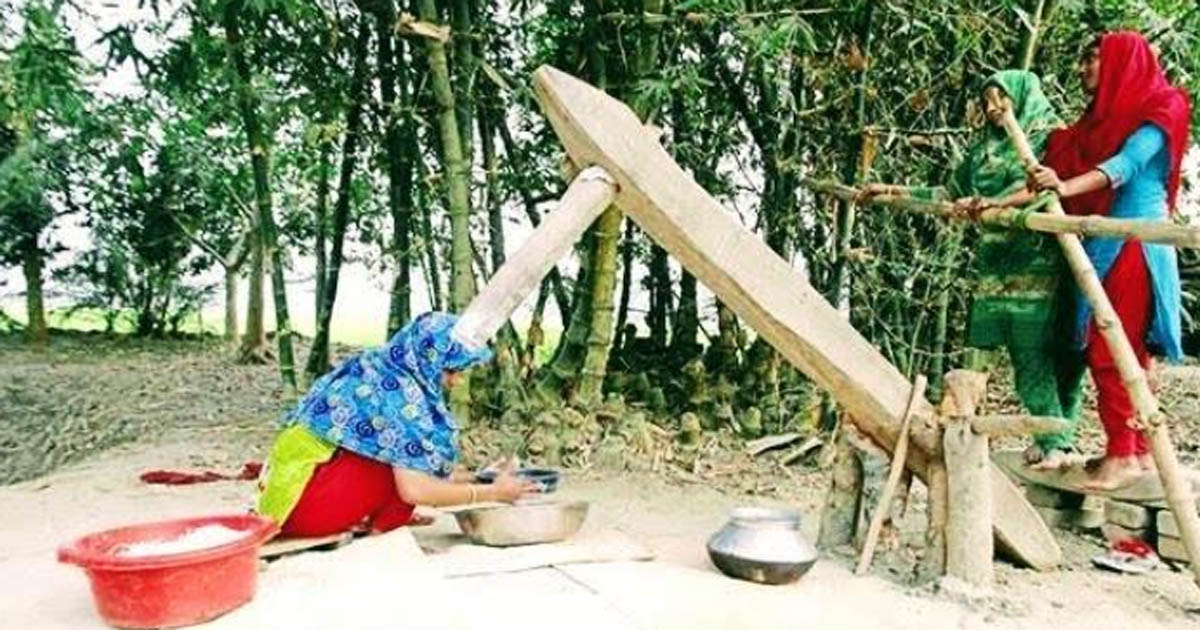 নাগরপুরে বিলুপ্তির পথে ঢেঁকি: হারিয়ে যাচ্ছে গ্রামীণ ঐতিহ্য