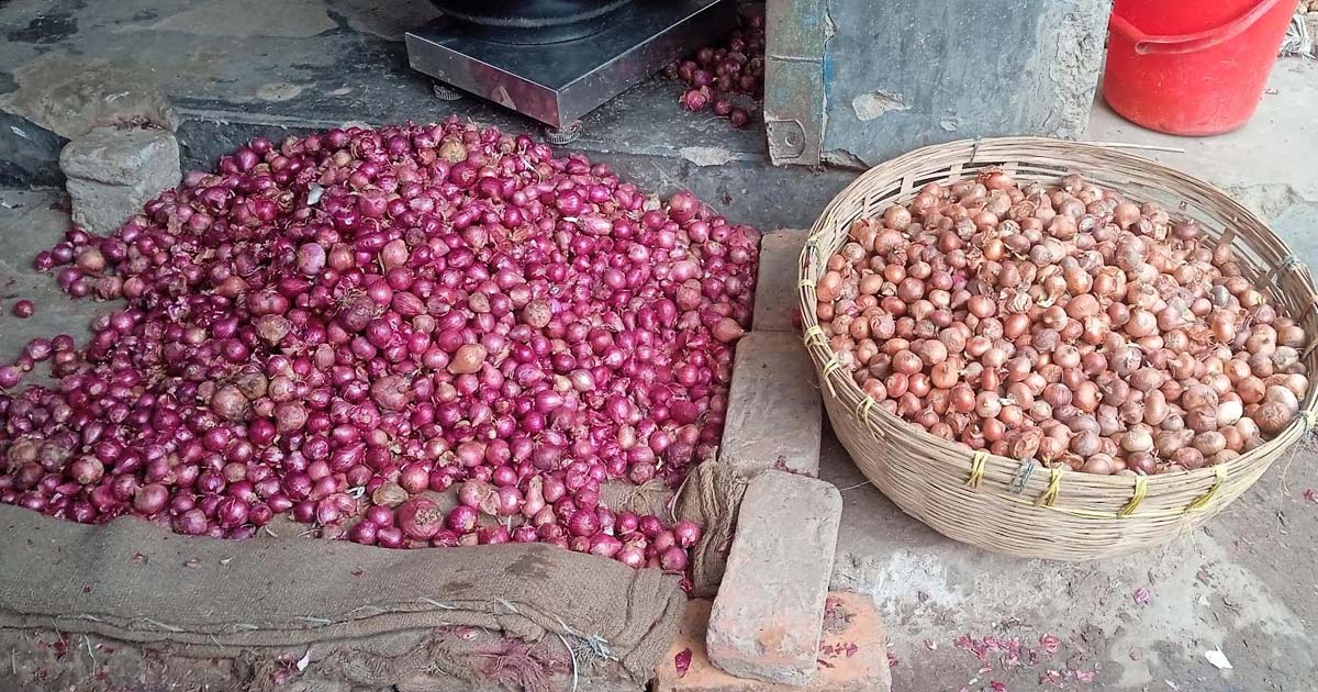একদিনের ব্যবধানে পেঁয়াজের দাম আকাশ ছোঁয়া