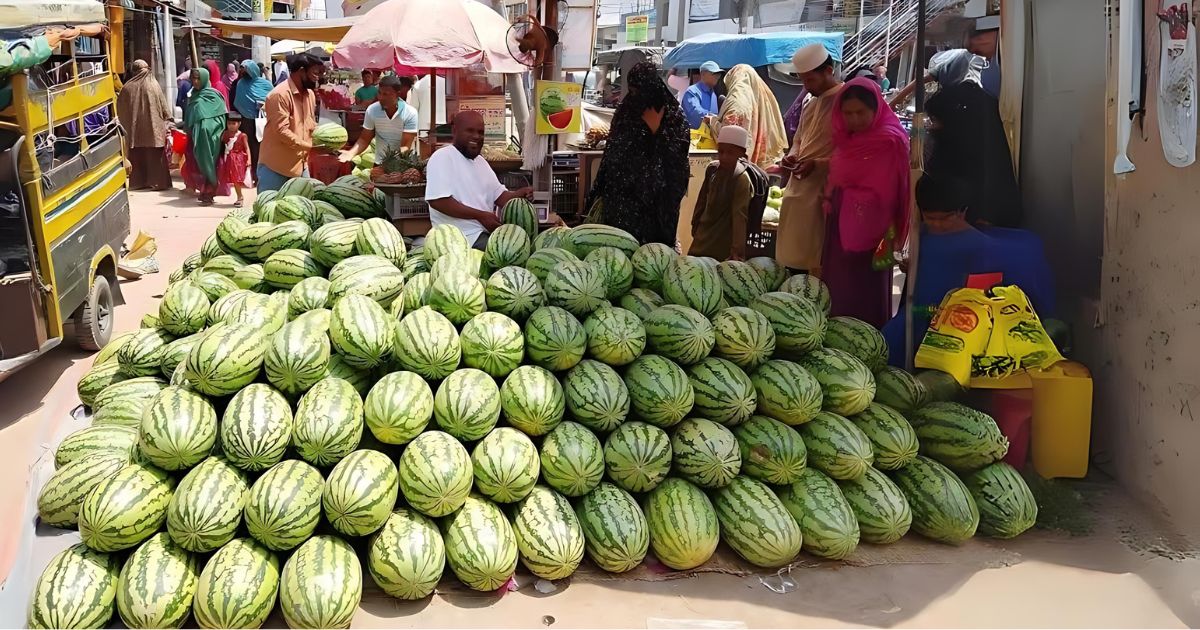 মাইকিং করে ১ হাজার টাকার তরমুজ বিক্রি হচ্ছে ২’শতে