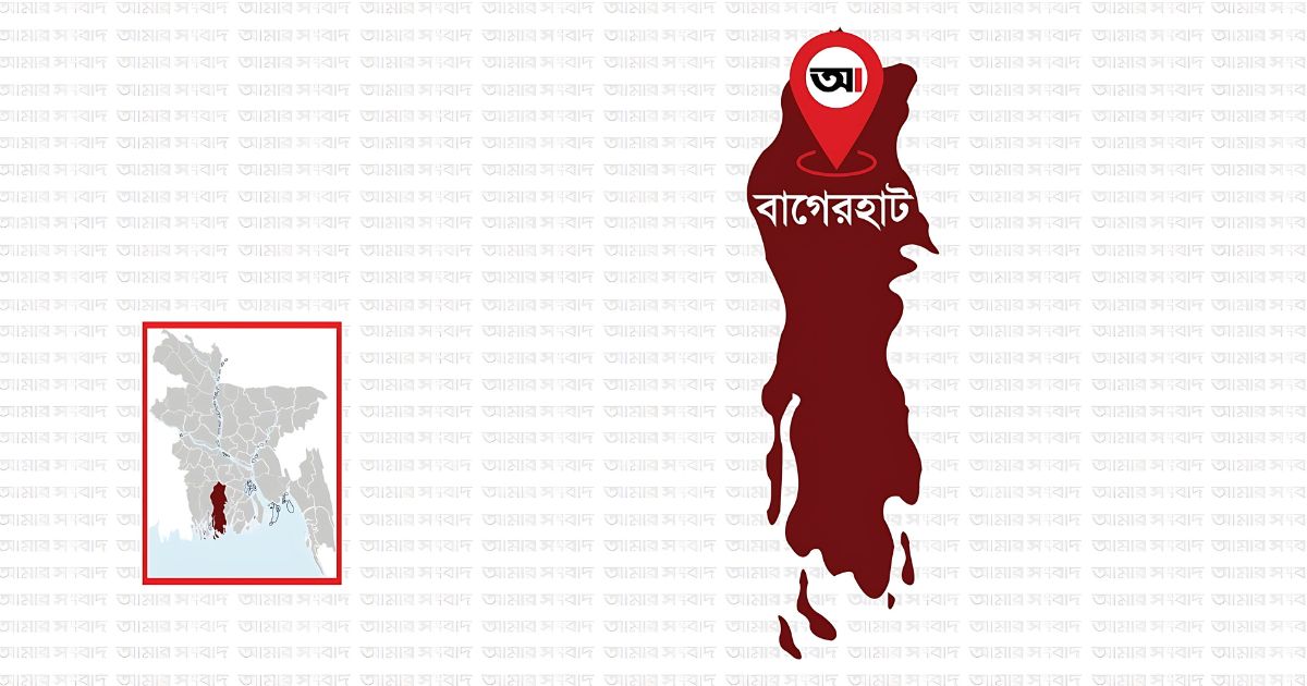 রামপাল বিদ্যুৎকেন্দ্রে সন্ত্রাসী হামলার ঘটনায় গ্রেপ্তার ১১