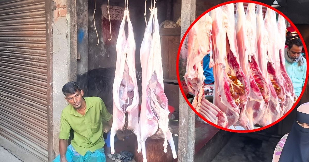 চাঁদপুরে জবাইয়ের পর বকরি হয়ে যাচ্ছে খাসি!
