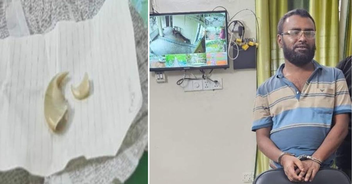শ্যামনগরে বাঘের নখসহ আটক ১