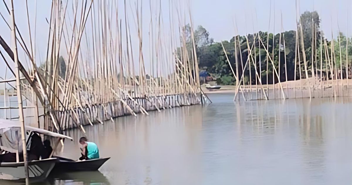 ধর্মপাশায় জলমহাল ইজারায় রাজস্ব বেড়েছে ২৩ গুন!