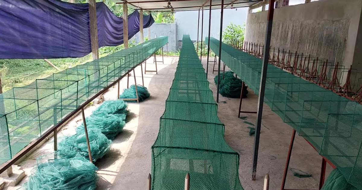 নিষিদ্ধ জালে ছেয়ে গেছে পাবনা জেলা