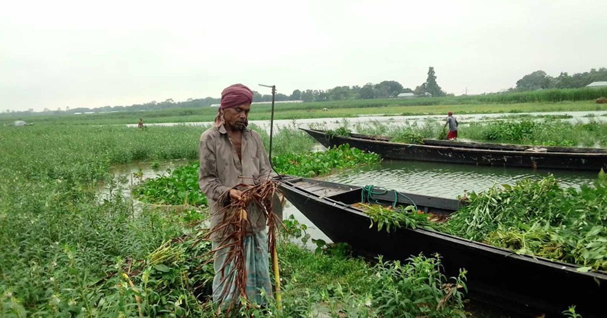 দ্রুতগতিতে বাড়ছে পদ্মার পানি, আতঙ্কে চরাঞ্চলের মানুষ
