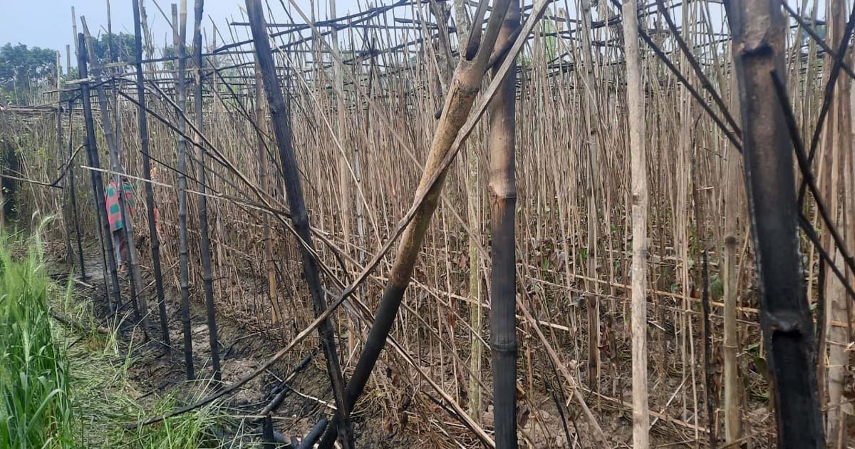 মাঝরাতে আগুনে পুড়ে ছাই কৃষক কামালের স্বপ্ন
