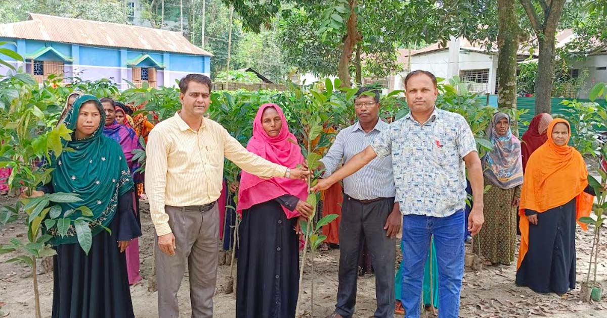 পাটগ্রামে গ্রামীণ ব্যাংকের উদ্যোগে গাছের চারা বিতরণ