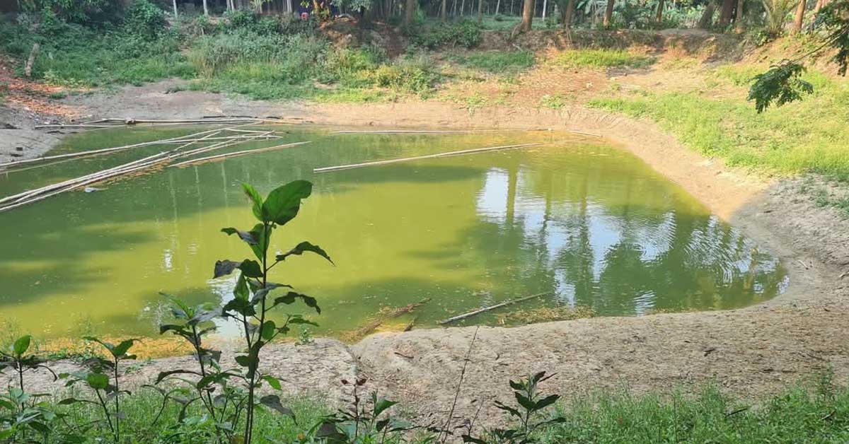 যশোরে পুকুরে ডুবে দুই শিশুর মৃত্যু