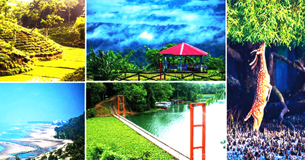 সম্ভাবনার শিখরে পর্যটন খাত