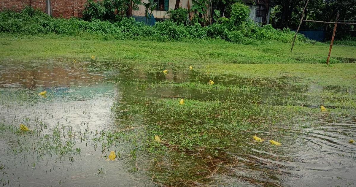 বৃষ্টিতে ব্যাঙের নাচন আর হাঁকডাকে দেখা মিলেছে প্রকৃতির আবহমান রূপ