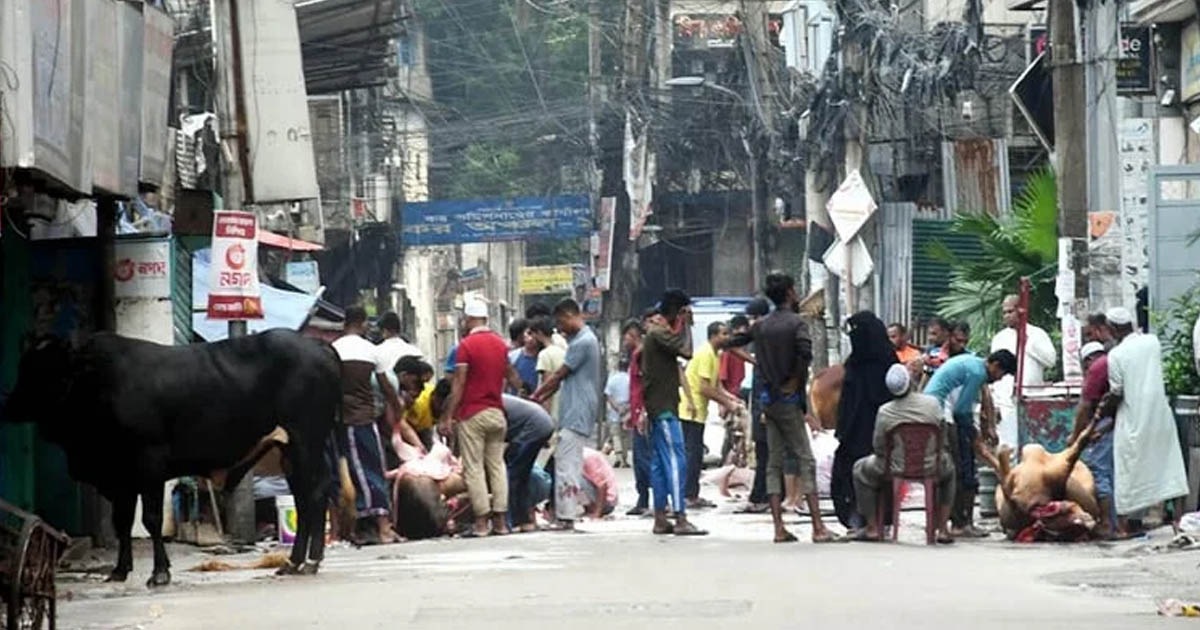 এবার ৯১ লাখ পশু কোরবানি