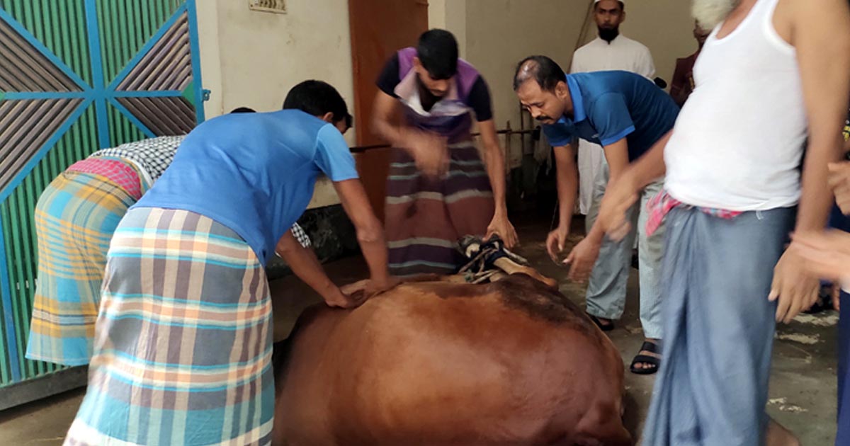 নামাজ শেষে রাজধানীতে পশু কোরবানি শুরু