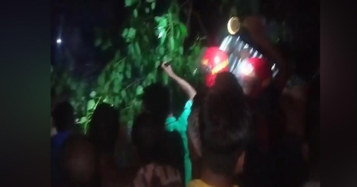 রাজশাহীতে ঝড়ে গাছ উপড়ে পড়ে ২ জনের মৃত্যু