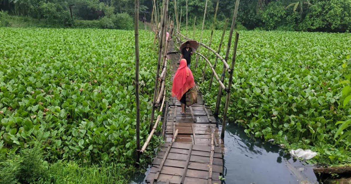 নবাবগঞ্জে ‘একটি সেতু‍‍’ নির্মাণের দাবি এলাকাবাসীর