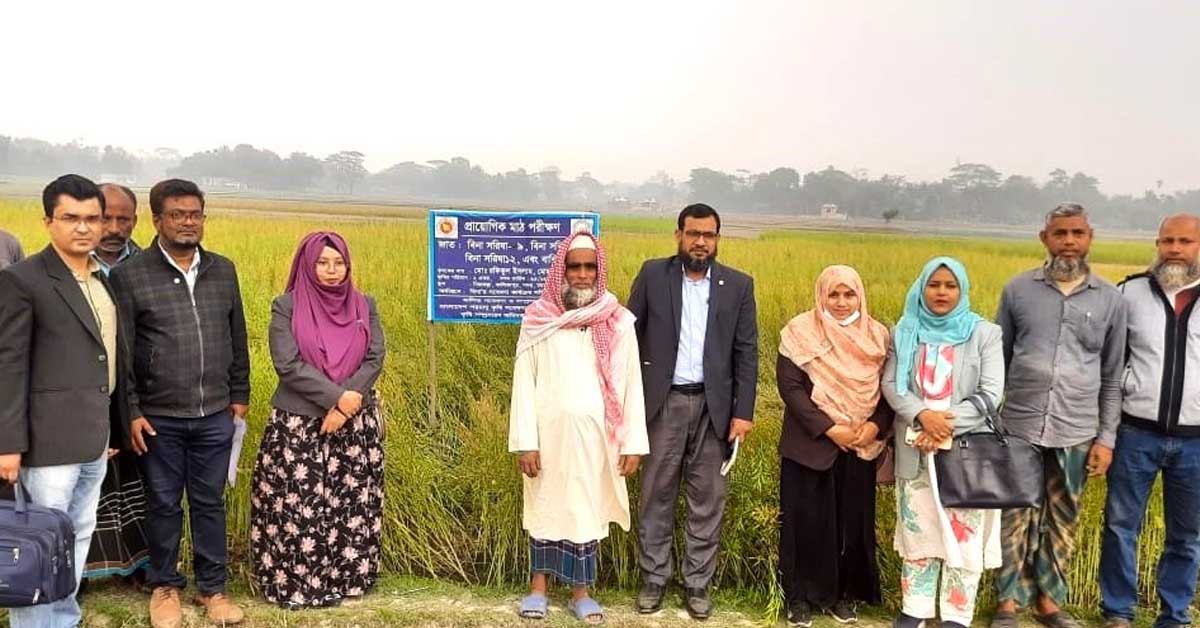দেশের ভোজ্যতেলের আমদানি কমাবে ‘বিনাসরিষা-১১’