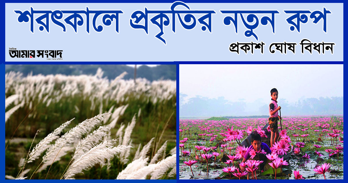 শরৎকালে প্রকৃতির নতুন রূপ