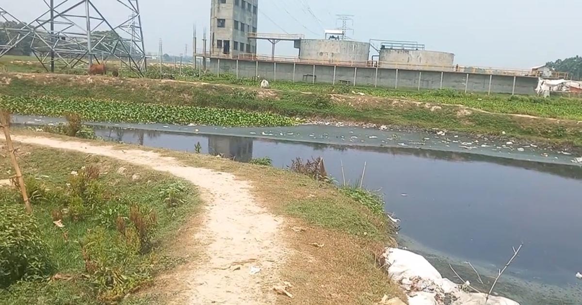 শিল্পকারখানার বর্জ্য গিলে খাচ্ছে শ্রীপুরের লবলং নদী