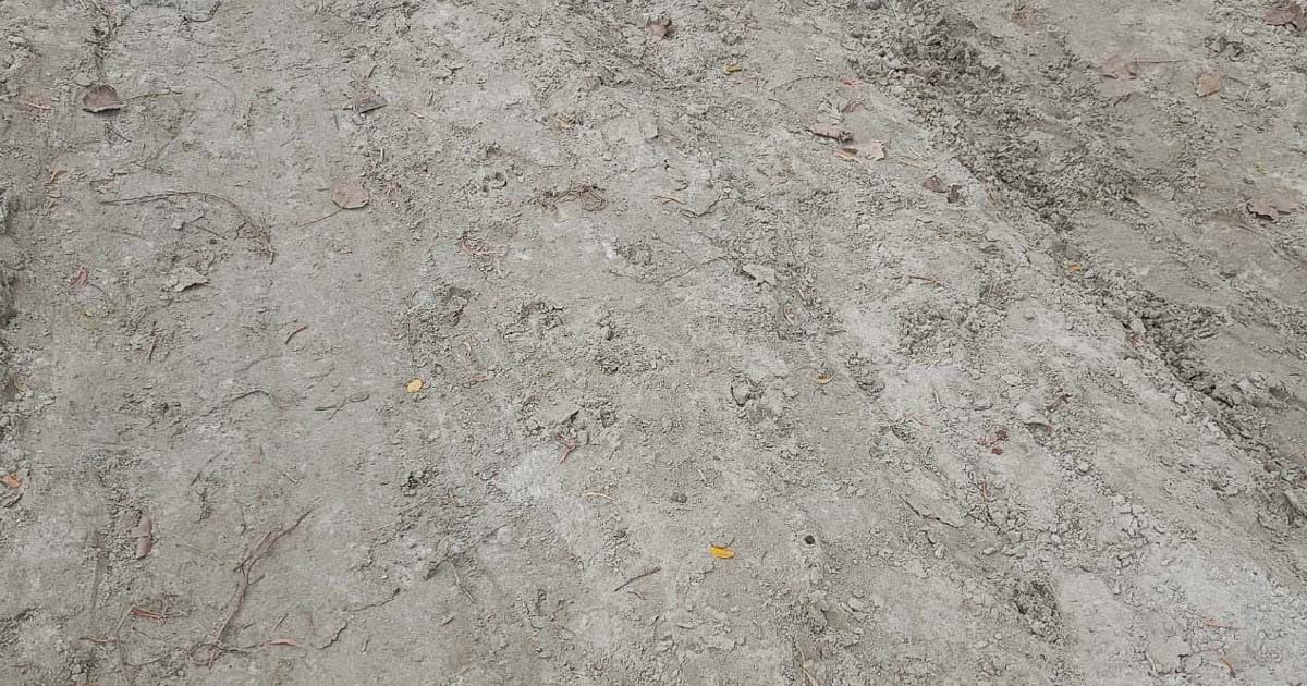 তালায় বালির পরিবর্তে কাদা মাটি দিয়ে রাস্তা নির্মাণের অভিযোগ
