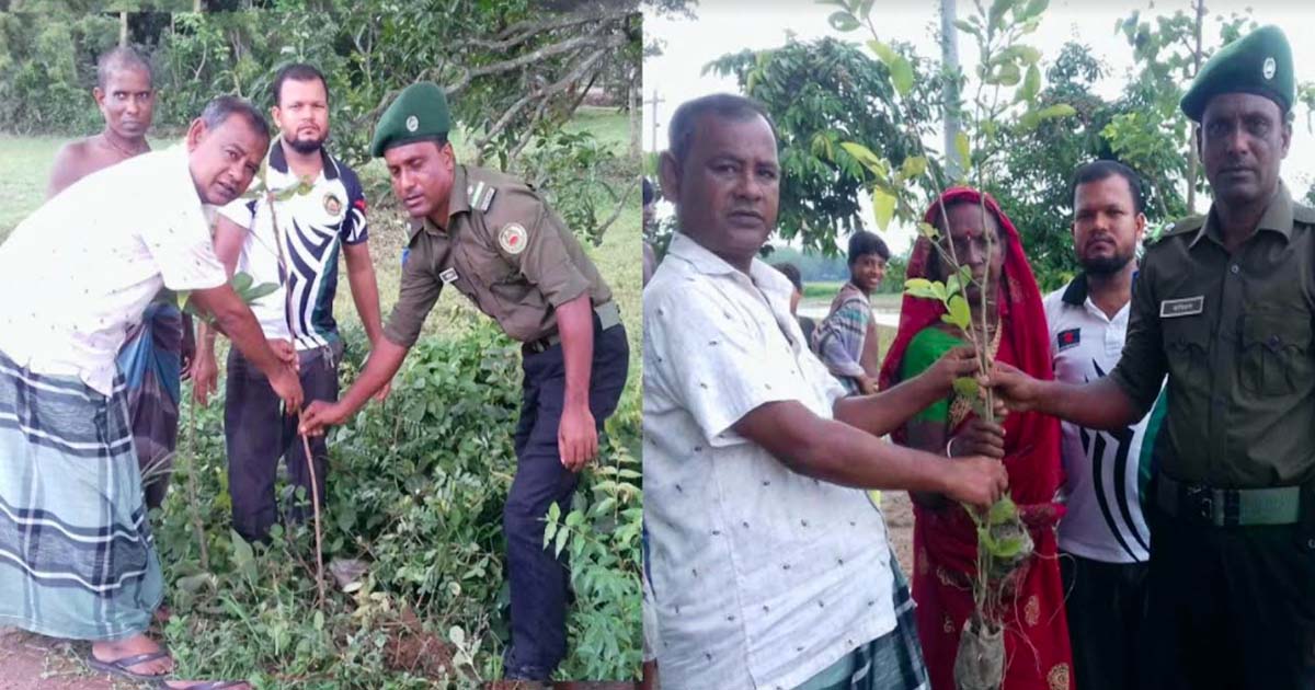 তানোরে আনসার প্লাটুন কমান্ডারের বৃক্ষরোপণ