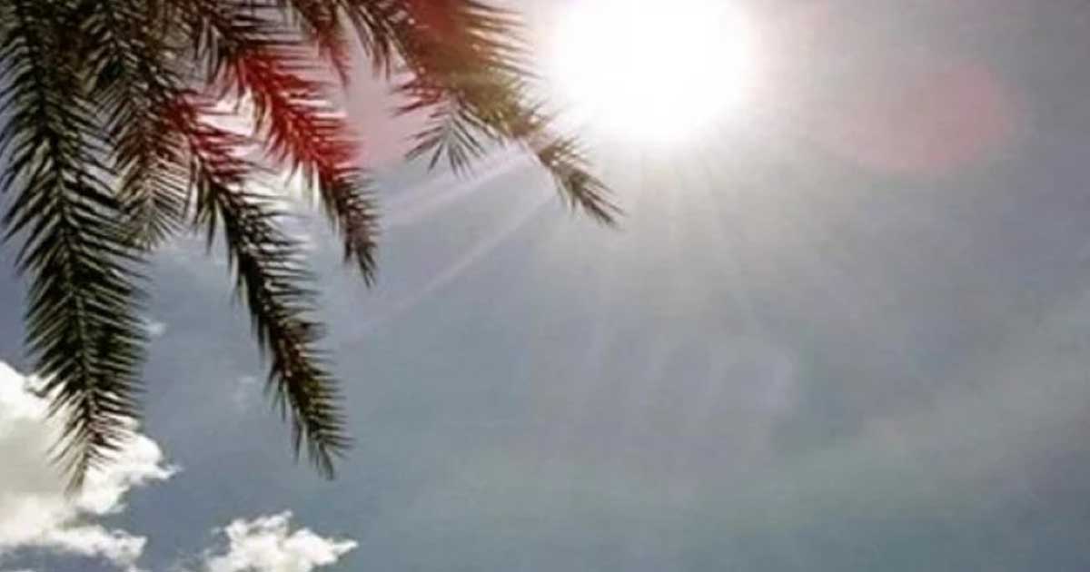 দেশের ৭ জেলায় বইছে মৃদু তাপপ্রবাহ