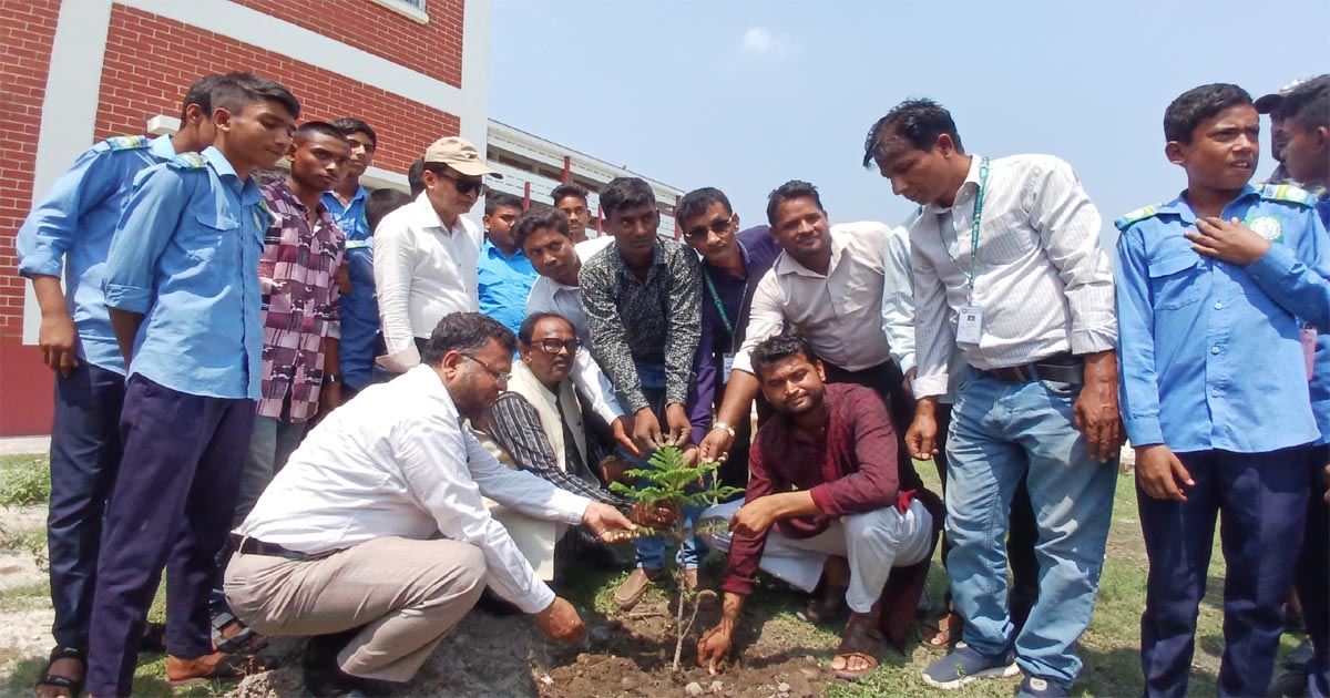 তেঁতুলিয়ায় পথশিশু কল্যাণ ট্রাস্টের বৃক্ষরোপণ কর্মসূচি